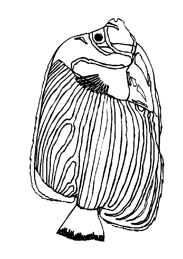animiertes-fisch-ausmalbild-malvorlage-bild-0010