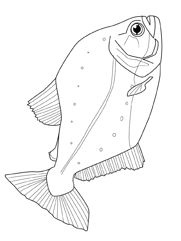 animiertes-fisch-ausmalbild-malvorlage-bild-0019