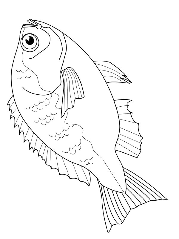animiertes-fisch-ausmalbild-malvorlage-bild-0031