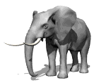 animiertes-elefant-bild-0350