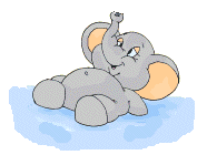 animiertes-elefant-bild-0376