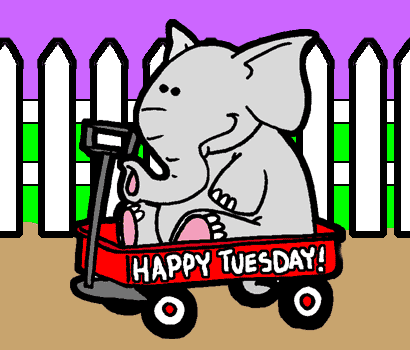 animiertes-elefant-bild-0500