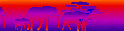 animiertes-elefant-bild-0509