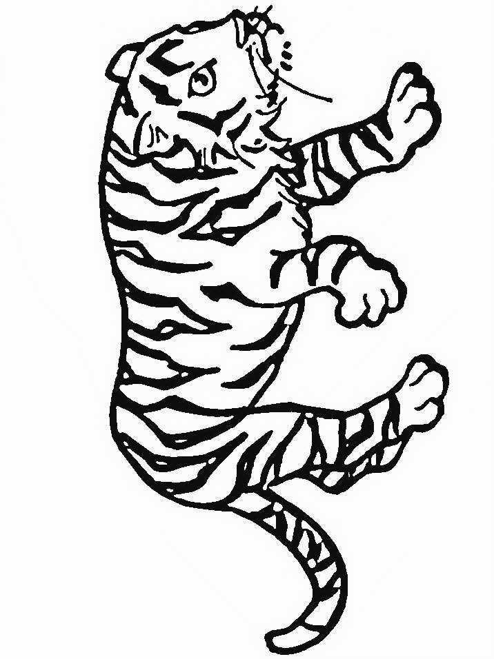 animiertes-tiger-ausmalbild-malvorlage-bild-0003