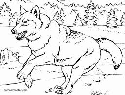 Ausmalbilder gratis wolf Wolf Malvorlagen