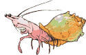 animiertes-fische-bild-0188