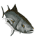 animiertes-fische-bild-0476