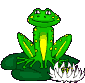 animiertes-frosch-bild-0066