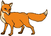 animiertes-fuchs-bild-0037