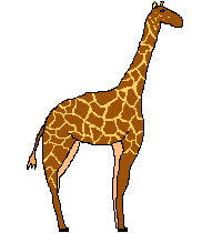 animiertes-giraffe-bild-0041