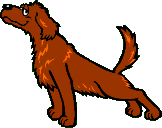 animiertes-hund-bild-0225