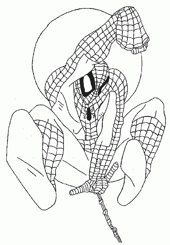 animiertes-spider-man-ausmalbild-malvorlage-bild-0028