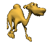 animiertes-kamel-bild-0030