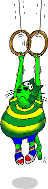 animiertes-katze-bild-0277