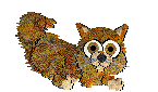 animiertes-katze-bild-0325