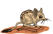 animiertes-maus-bild-0111