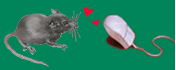 animiertes-maus-bild-0159