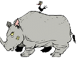 animiertes-nashorn-bild-0008