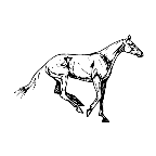 animiertes-pferd-bild-0043.gif