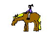 animiertes-pferd-bild-0100