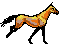 animiertes-pferd-bild-0199.gif