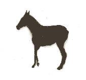 animiertes-pferd-bild-0328