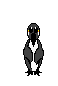 animiertes-pinguin-bild-0027