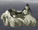 animiertes-pinguin-bild-0052