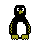 animiertes-pinguin-bild-0105
