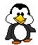animiertes-pinguin-bild-0118