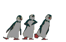 animiertes-pinguin-bild-0164