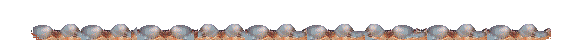 animiertes-vogel-bild-0031