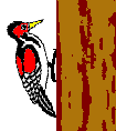 animiertes-vogel-bild-0183