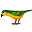 animiertes-vogel-bild-0475