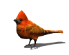 animiertes-vogel-bild-0549