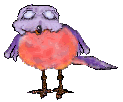animiertes-vogel-bild-0594