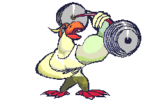 animiertes-vogel-bild-0642