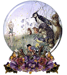 animiertes-vogel-bild-0704
