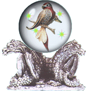 animiertes-vogel-bild-0716