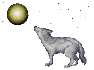 animiertes-wolf-bild-0048