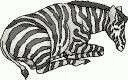 animiertes-zebra-bild-0017