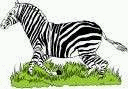 animiertes-zebra-bild-0025