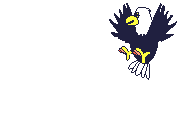 animiertes-adler-bild-0025
