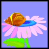 animiertes-schnecke-bild-0052