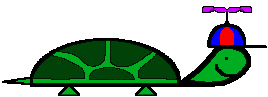 animiertes-schildkroeten-bild-0136