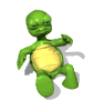 animiertes-schildkroeten-bild-0137