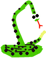 animiertes-schlangen-bild-0080