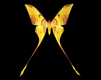 animiertes-schmetterling-bild-0177