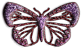 animiertes-schmetterling-bild-0210