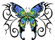 animiertes-schmetterling-bild-0286